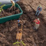 Leczenie żylaków naturalnymi metodami